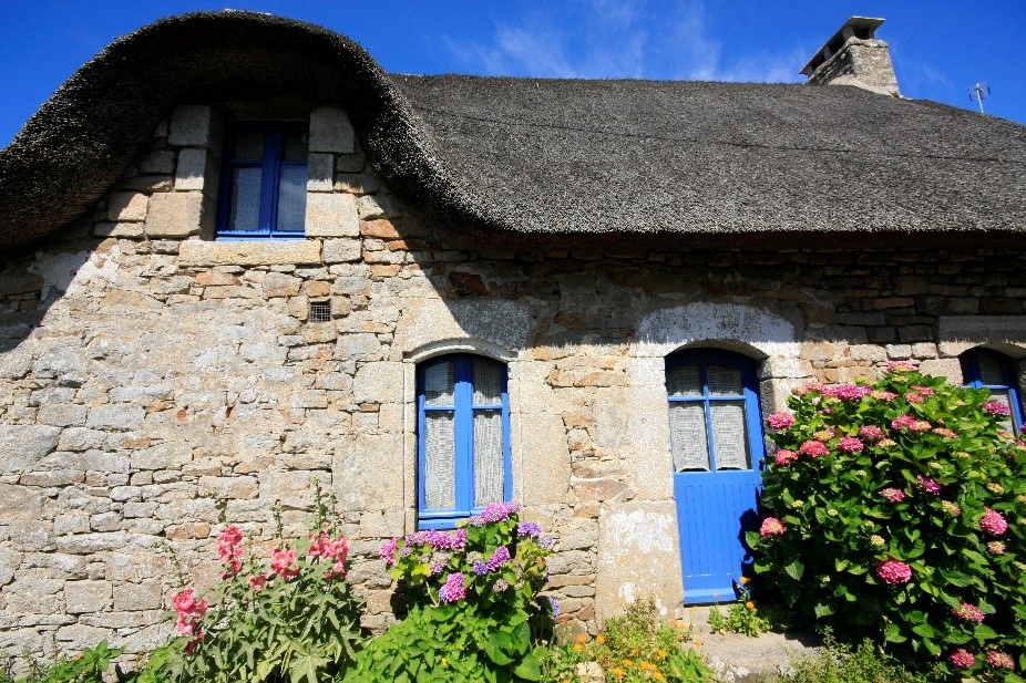 Petite maison bretonne avec son traditionnel toit de chaume et les emblématiques hortensias .
