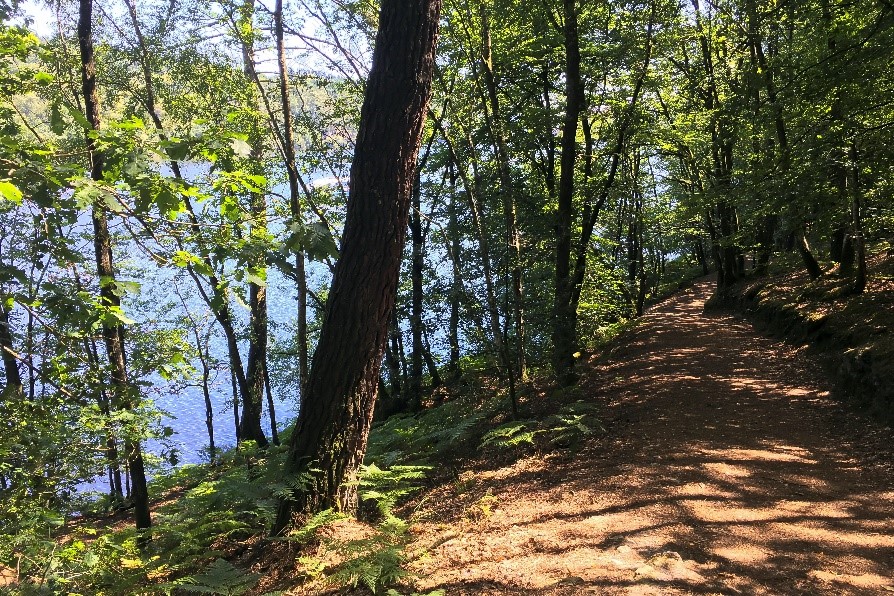 Admirez la superbe vue sur le lac lors de vos randonnées sur les sentiers autour de celui-ci !