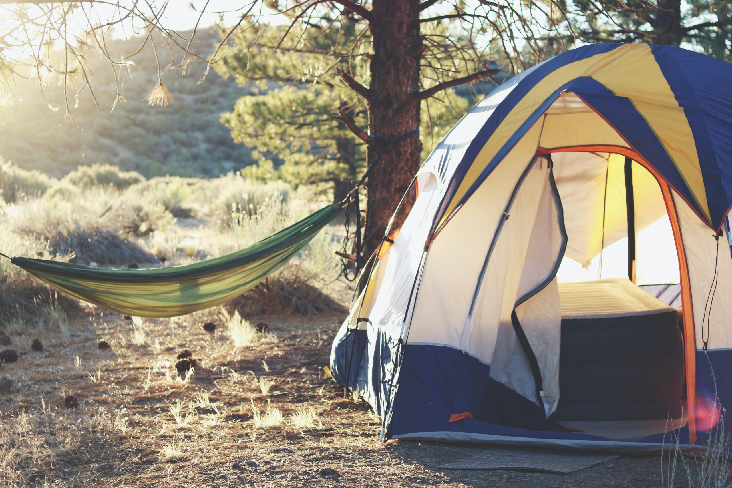 tente de camping avec hamac 