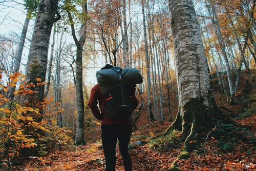 randonneur avec sac à dos en plein forêt
