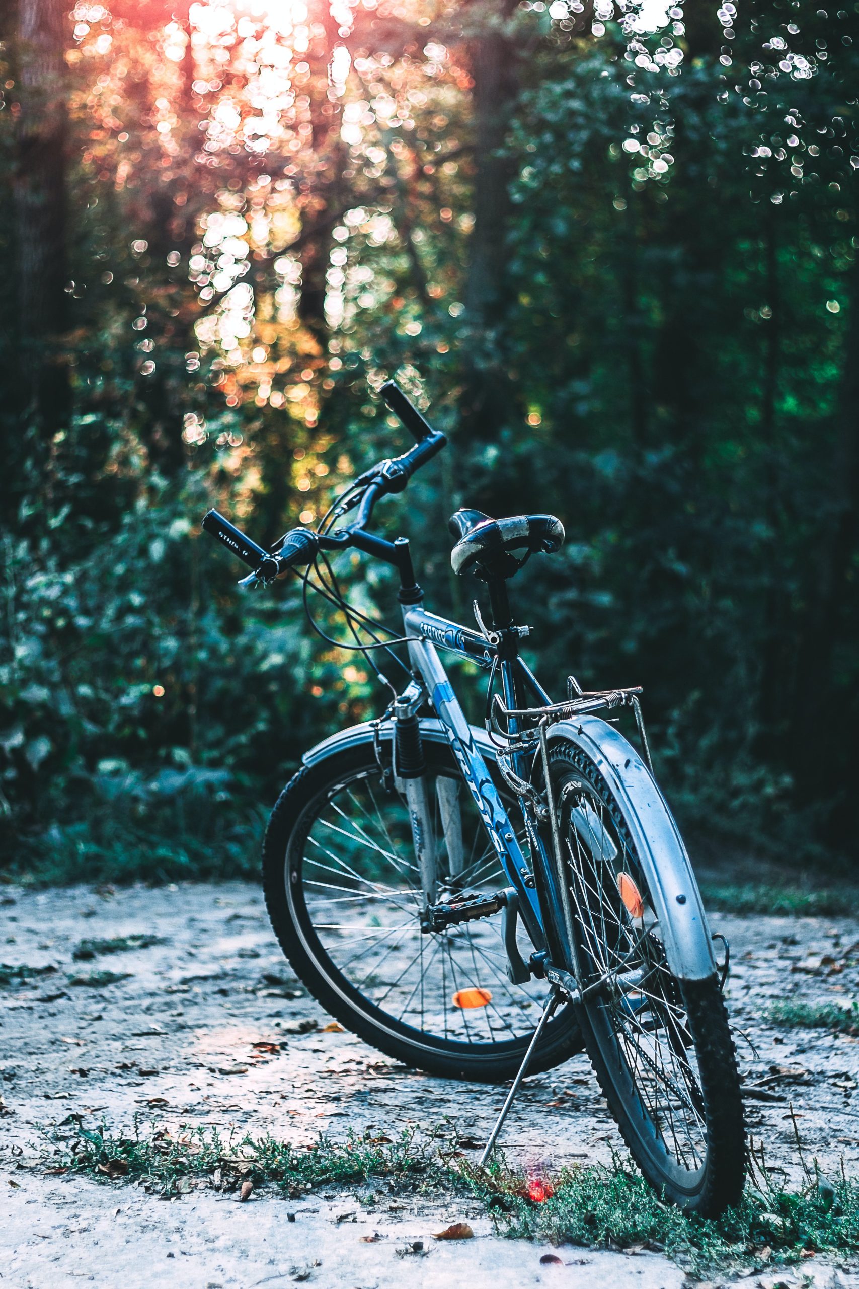 vélo randonnée cyclo