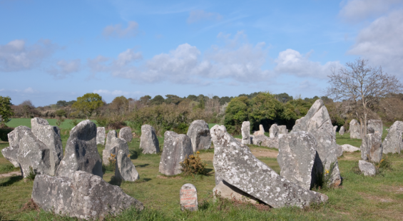 l'un des sites mégalithiques bretons : les alignements de kerzerho