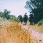 Les meilleures randonnées en forêt de Brocéliande